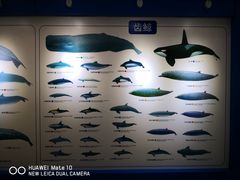 -上海海洋大学鱼文化博物馆(军工路校区)