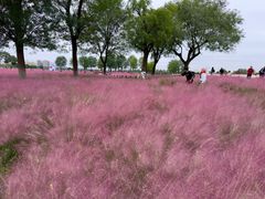 -汉长安城未央宫国家考古遗址公园