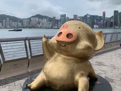 -星光大道