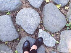 iphone_upload_pic-香港大学