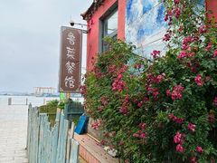 -烟墩角天鹅湖