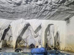 -太平洋海底世界