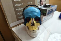 -颜和骨正&明星徒手小颜整骨