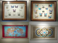 -上海昆虫博物馆