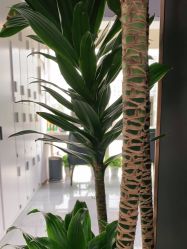 -变画·发型STUDIO