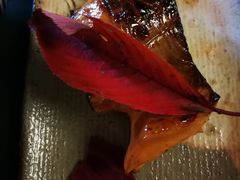 -料亭菊水楼