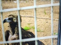 -秦皇岛野生动物园