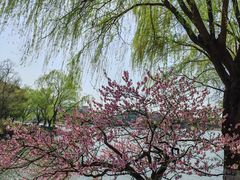 -东华大学(松江校区)
