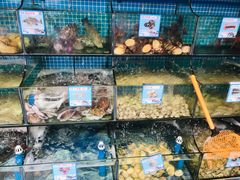 -范饭椰林川湘味海鲜·椰子鸡(三亚湾椰梦长廊店)