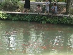 -合肥滨湖国家森林公园