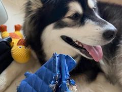 -爱革·洗衣改衣·洗鞋修鞋·洗包修包·奢侈品护理(宝地广场店)