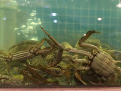 -冶建镜子·老南昌大排档·江西虾王(总店)