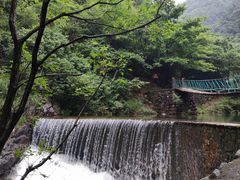 -大奇山国家森林公园