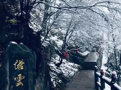 -塔云山