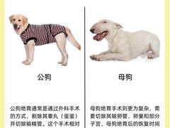 -萌兽医馆·犬猫专科·眼科中心·宠物医院(朝阳门分院)