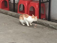-鼓浪屿·八卦楼
