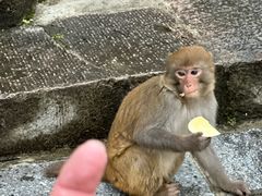 -黔灵山公园