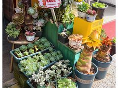 -老姐石板烧烤+铜炭火锅(总店)