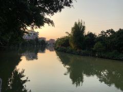 -小洲村