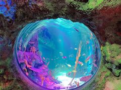 -沈阳海洋探索中心