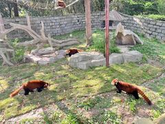 -上海野生动物园