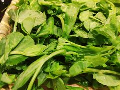 豌豆尖-东颖龙肥牛王(绵阳店)