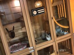 -白兔子密室(长寿路店)