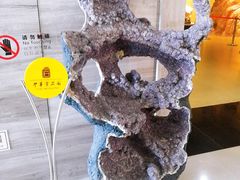 -中华赏石园