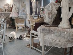 大堂-共舞时光猫咖·狗咖(新街口店)