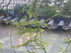 -懒人盐府人家(航天桥店)