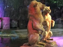 -清迈夜间动物园