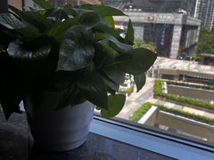 -润园四季椰子鸡火锅(南山海岸城店)