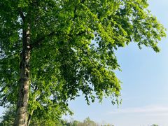 -重庆中央公园(渝北区)