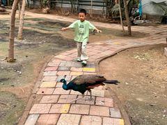 -呀路古热带植物园