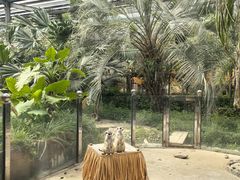 -呀路古热带植物园