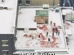 -车库咖啡(中关村创业大街店)