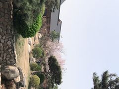 -诗经里