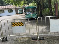 -五泄景区