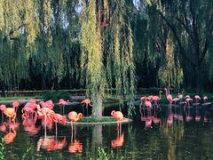 -石家庄市动物园