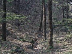 -香山公园