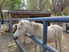 -长白岛森林公园