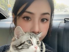 -喵zoo家庭繁育猫舍(尖东智能花园店)