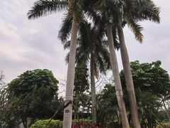 -南宁荔园维景国际大酒店·荔园中餐厅