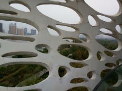 观鸟台-西安浐灞国家湿地公园