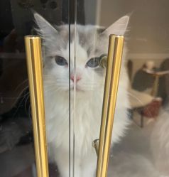 -花系美·美甲美睫精品店