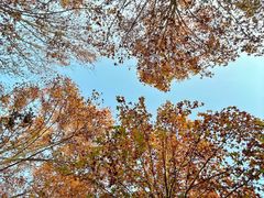 -河南省黄河迎宾馆