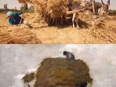 -八哥美术·成人美术画室(总校区)
