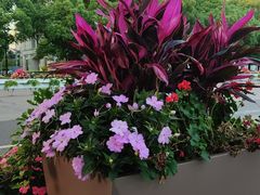 -陆家嘴空中步行连廊