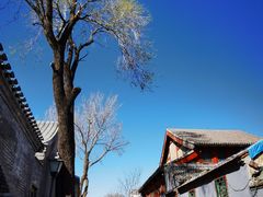 -三里河公园