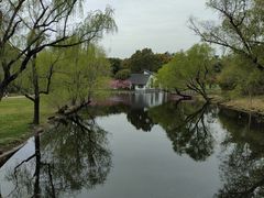 -上海共青森林公园